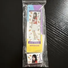 乃木坂46 真夏の全国ツアー2025 個別カスタムキーホルダー 瀬戸口心月