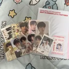 スンミン victory chocolate NACIFIC トレカ ポラ