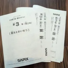 2026年最新】sapix 入室テスト 新2年の人気アイテム - メルカリ