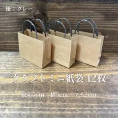 クラフトミニ紙袋 12枚(S)