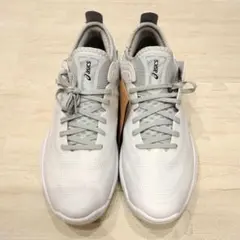 Item thumbnail for item 7b9c4564-4547-4c5c-921b-bf728a9a3b54