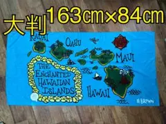 パタゴニアフライングフィッシュビーチタオル 特大 128cm x 65cm