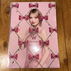 TWICEモモ クリアファイル27枚セット