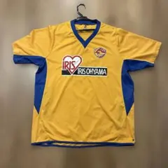 Item thumbnail for item 518df690-269c-4c1e-ad62-ed9a05d7a7cf