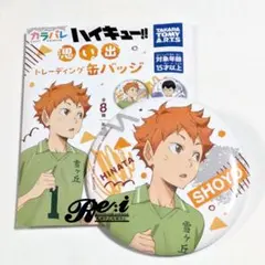 ハイキュー カラパレ より道 缶バッジ 日向翔陽 10個セット - メルカリ