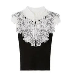 snidel スナイデル レースカラーノースリニット