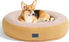 Item thumbnail for item 8ff965c9-9d63-4142-b8df-d621b1a2d51d