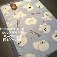 Item thumbnail for item 6c246e33-2149-4e2d-a898-c5fd39f72418