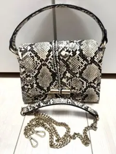 ZARA パイソン柄 ショルダーバッグ 2WAYのサムネイル
