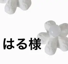 はる様　専用