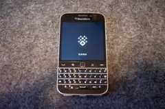 Zinwa BlackBerry Q25 Pro ⭐︎最終値下げ⭐︎ - メルカリ