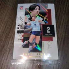 バレーボール　女子日本代表　ツインウエハース　荒木彩花　カード