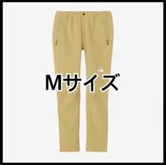 Item thumbnail for item 12702c24-2bea-41d2-8bf2-2a9cba9addf6