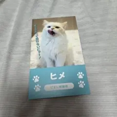猫カフェ MOCHA 2026 にゃんず総選挙 にゃんず名刺　ピオレ姫路店