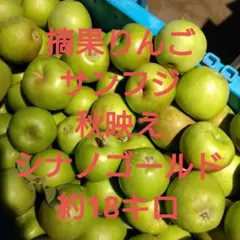 最終☆　摘果りんご 　加工用 　約18キロ（箱込）のサムネイル