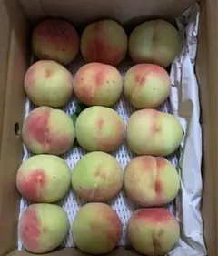 山梨のもも(3kg)かためのサムネイル
