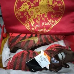 新品未使用　BOX&付録付き　ＪＡ３ ＣＮＹ EP
