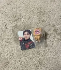 【stray kids】つまんでつなげてますこっと フォトカード付 チャンビン