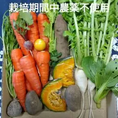 ③アウトレット★期間中農薬不使用★しあわせ♡可愛い野菜セット