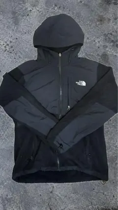 THE NORTH FACE 2010 DENALI HOODIEノースフェイス