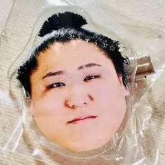 Item thumbnail for item 708767e8-ef02-42b3-adf7-7f28406b7d67