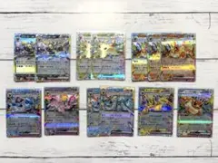 RR テラスタルフェスex ブイズ