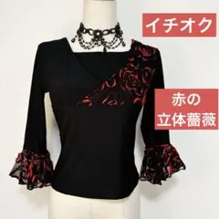 社交ダンス用レッスンウェア　イチオク　黒地に赤の立体フラワー
