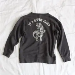 devirock デビロック 恐竜 トレーナー 130cm