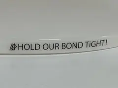 ASP武道館結束バンド HOLD OUR BOND TIGHT!