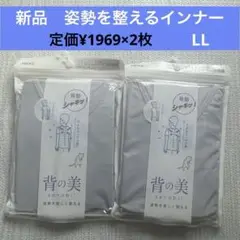 【新品】 背の美 シャツ メンズ インナー LL 下着 男性用 半袖V首　グレー