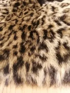 ヒョウ柄生地