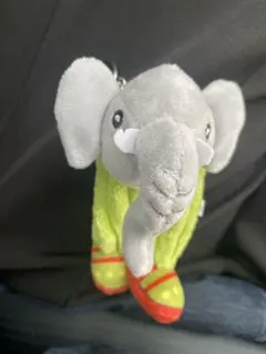 象　ゾウ　イタリアンブレインロット