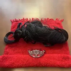 Item thumbnail for item 41da00f2-33f8-4d3f-a1c0-9d3142ebd4a0