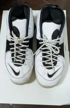 NIKE ズームフライト95 スニーカーのサムネイル
