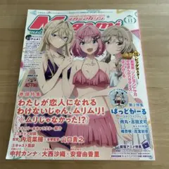 メガミマガジン 2025年11月号