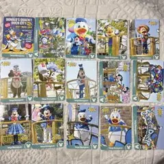ディズニー　コレクションカード　パルパルーザ　ドナルド