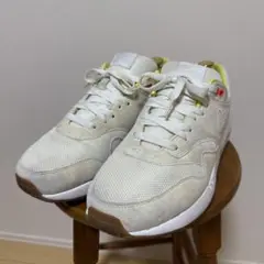 A.P.C. NIKE コラボ　スニーカー　25cm A.P.C.+NIKEのコラボスニーカーが誕生、ダンクとエアマックスを