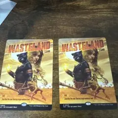 MTG Wasteland / 不毛の大地 non-foil SLD 2枚セット