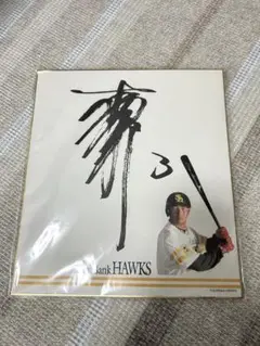 ソフトバンクホークス 松中 サイン色紙