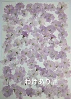 estrelabonita様 リクエスト 4点 まとめ商品