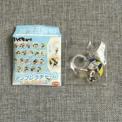 2026年最新】アンブレラチャーム ハイキューの人気アイテム - メルカリ