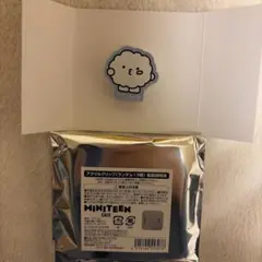 ウジ　ピョプリ　MINITEEN カフェ　アクリルクリップ　seventeen