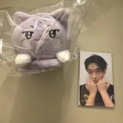 ATEEZ サン ANITEEZサンドギ フォトカードホルダー トレカセット