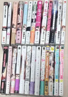 BL漫画 26冊まとめ売り