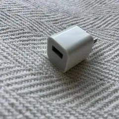 USB充電器 ホワイト 2ピンプラグ