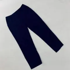 LAUTREAMONT ネイビー ストライプ センタープレス パンツ 40