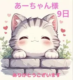 あーちゃん様 専用