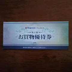 YAMADA HLDGS. お買物優待券 10枚