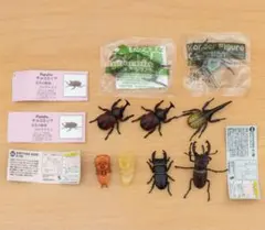 チョコエッグ チョコQ カブトムシ オオクワガタ 蛹 ミヤマクワガタ ヘラクレス 2026年最新】チョコエッグ オオクワガタの人気アイテム - メルカリ