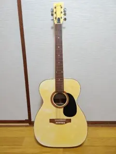 値下‼️LUNAギターBELLAME W-120 白いギター - メルカリ